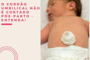 Qual é a função do cordão e da placenta?
