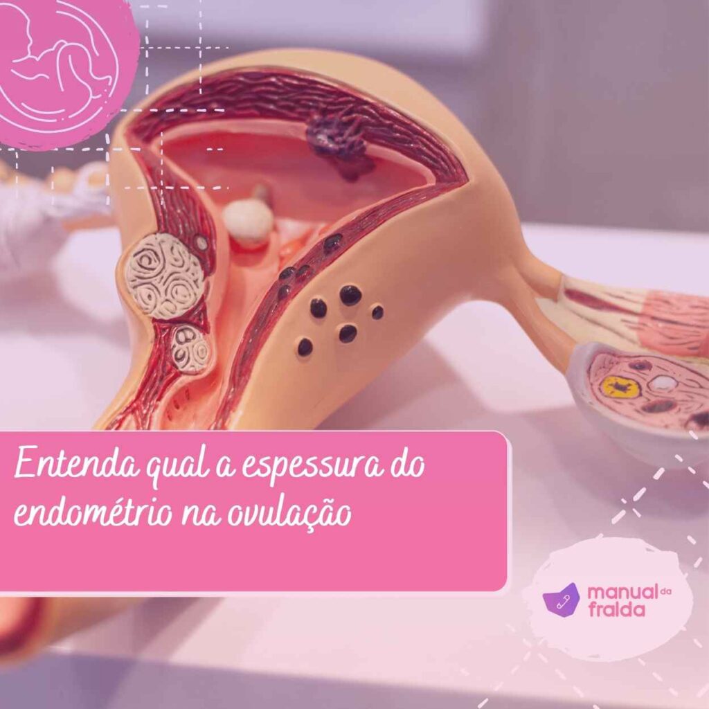 Entenda qual a espessura do endométrio na ovulação